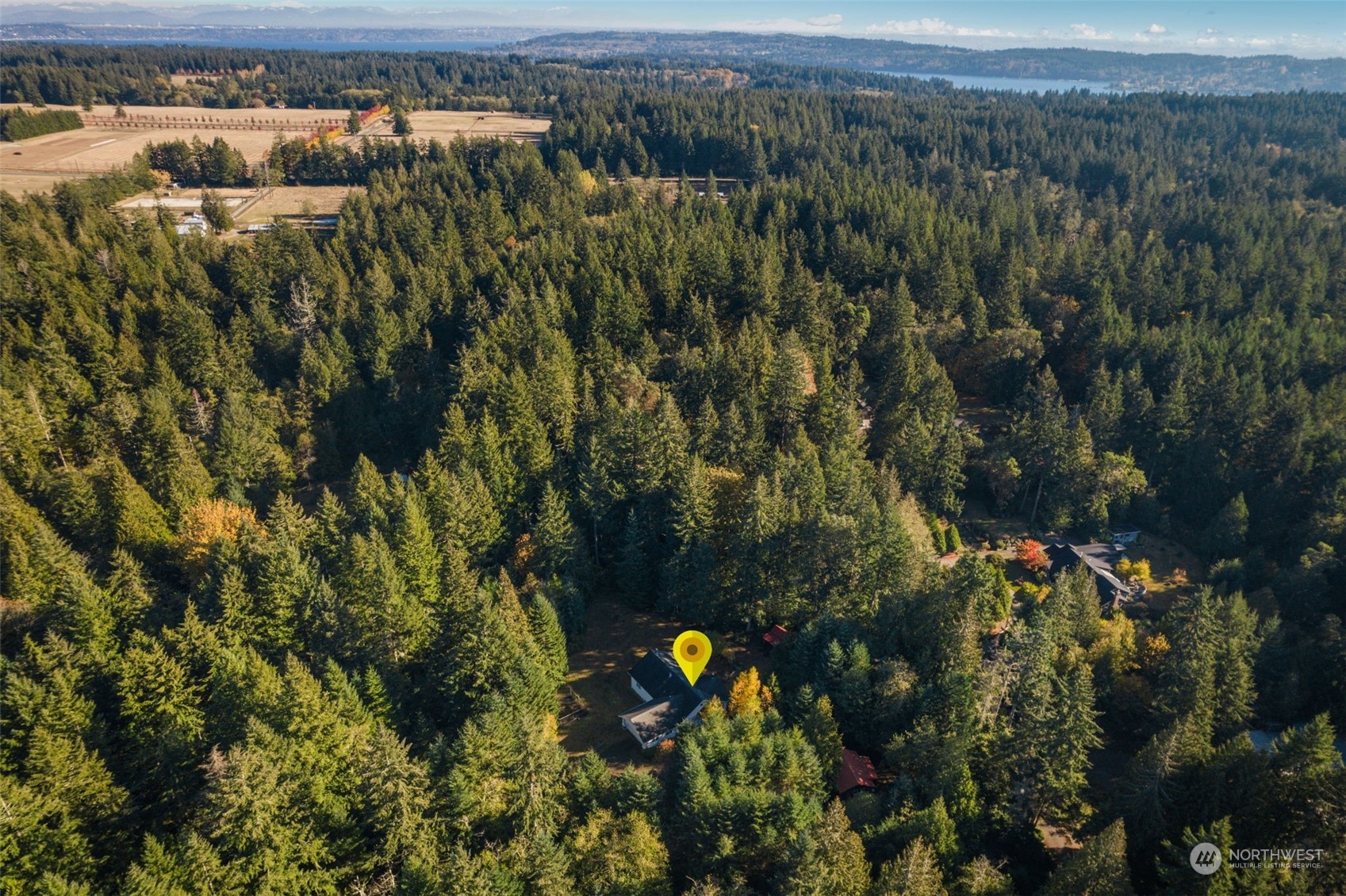 23406 Landers Road Southwest Vashon, WA 98070 - Photo 37 of 39 a view of a bunch of trees and bushes
