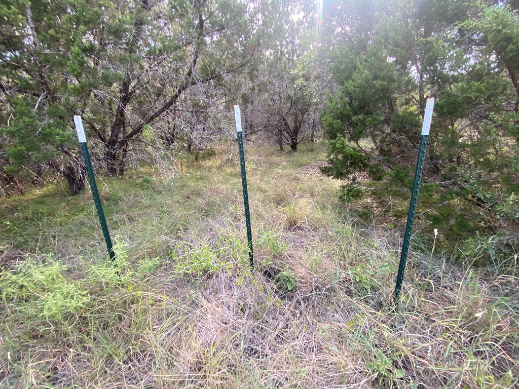 0 Old Rocksprings Road Leakey, TX 78873 - Photo 13 of 18
