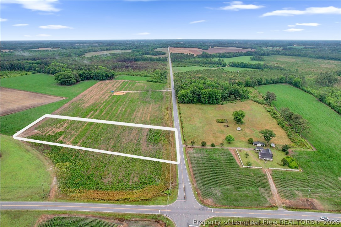 Lot 4 Buie Philadelphus Road Red Springs, NC 28377 - Photo 3 of 11