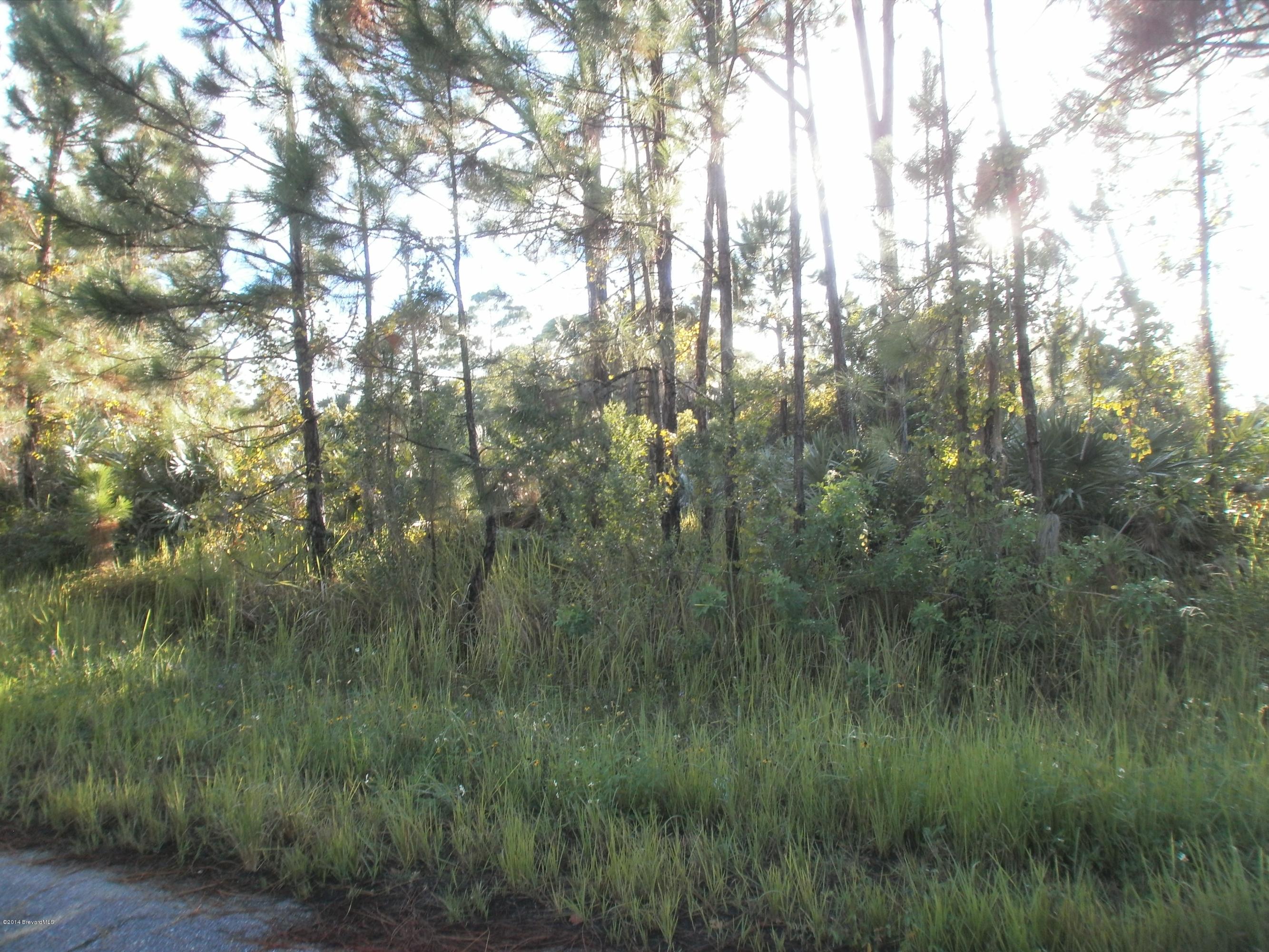3262 Reef Road Southeast Palm Bay, FL 32909 - Photo 2 of 2 P9030054