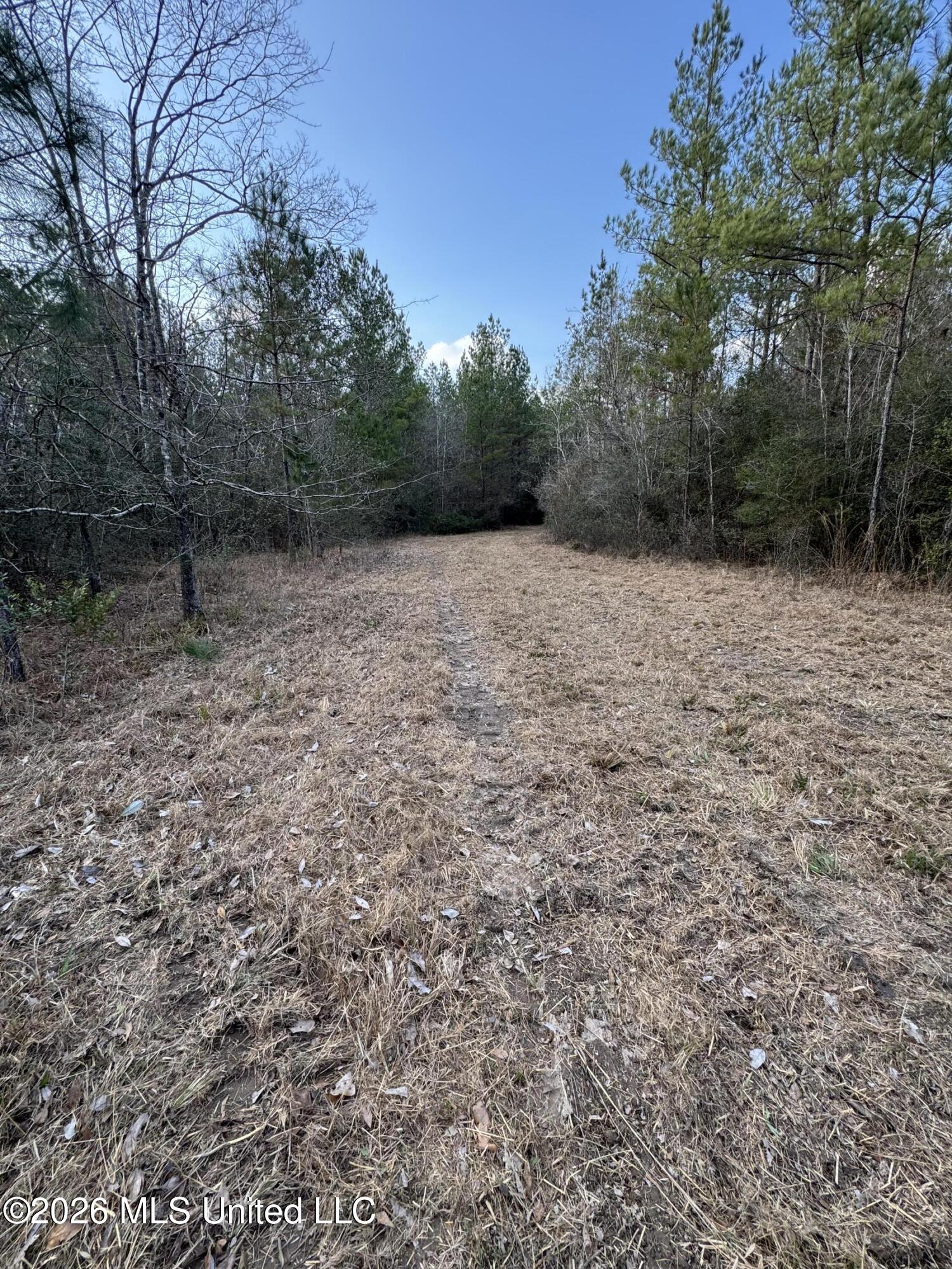 42 Mississippi State Line, MS 39362 - Photo 18 of 87 Photo Feb 13 2026, 4 30 11 PM