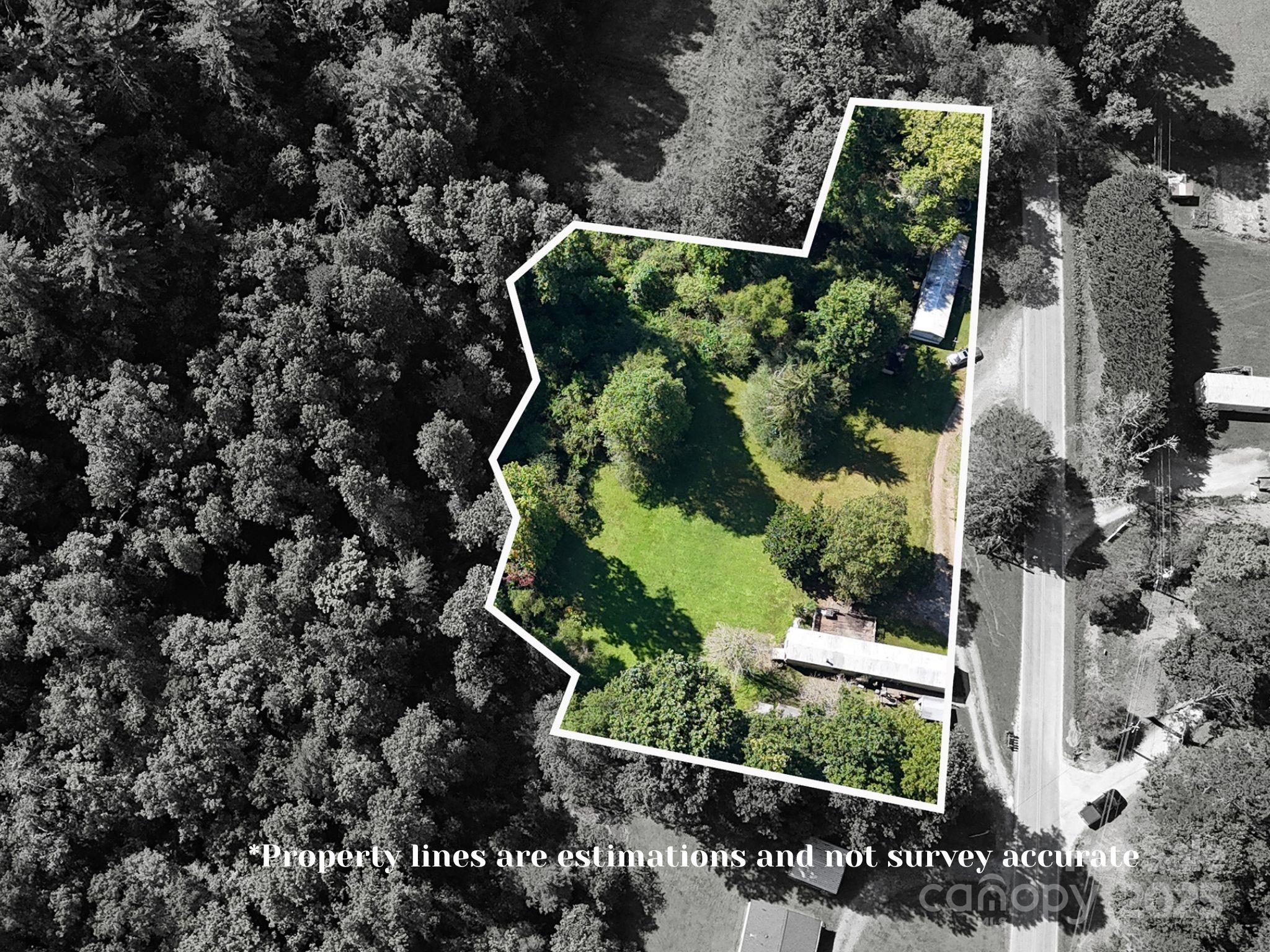 an aerial view of garden with plants
