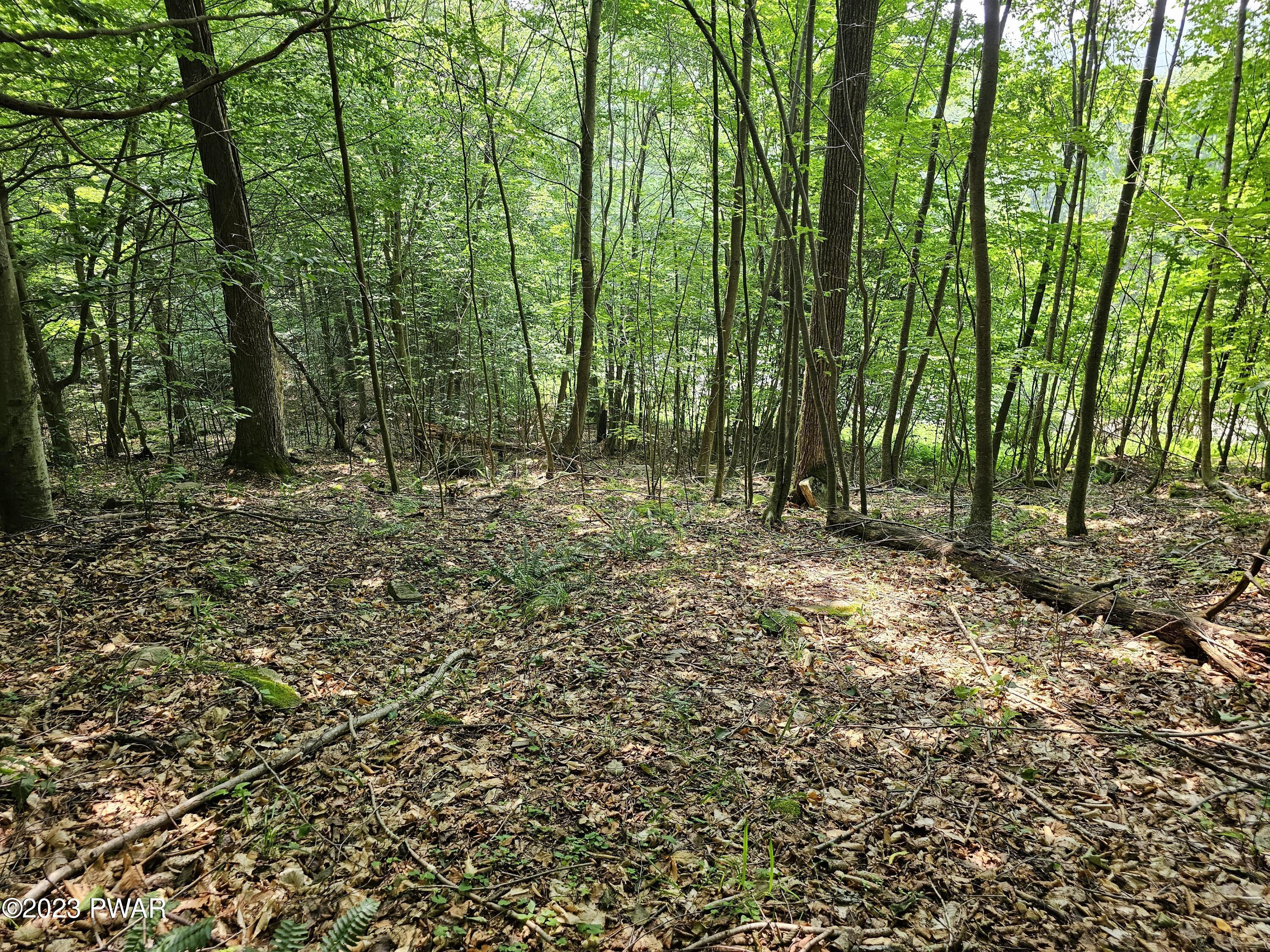 Lot 61 Rock Run Road Damascus, PA 18415 - Photo 14 of 56