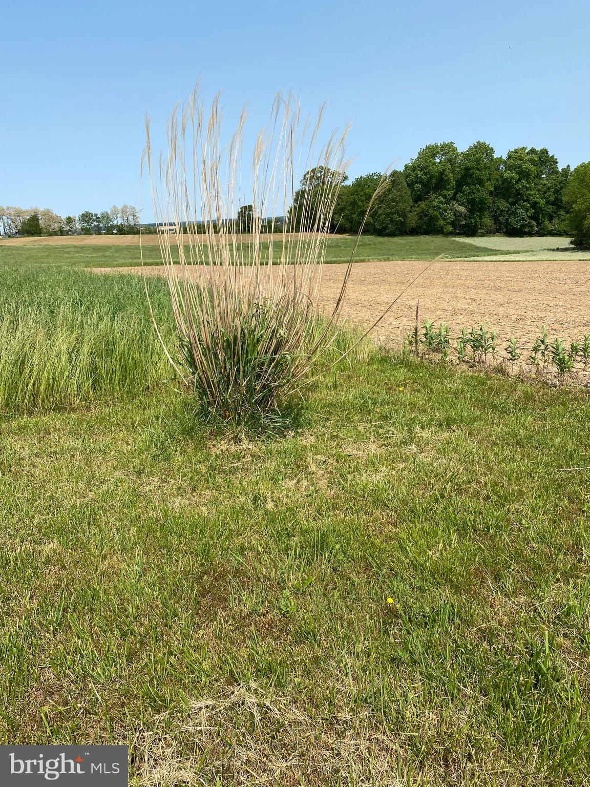 0 Channell Road New Park, PA 17352 - Photo 13 of 21