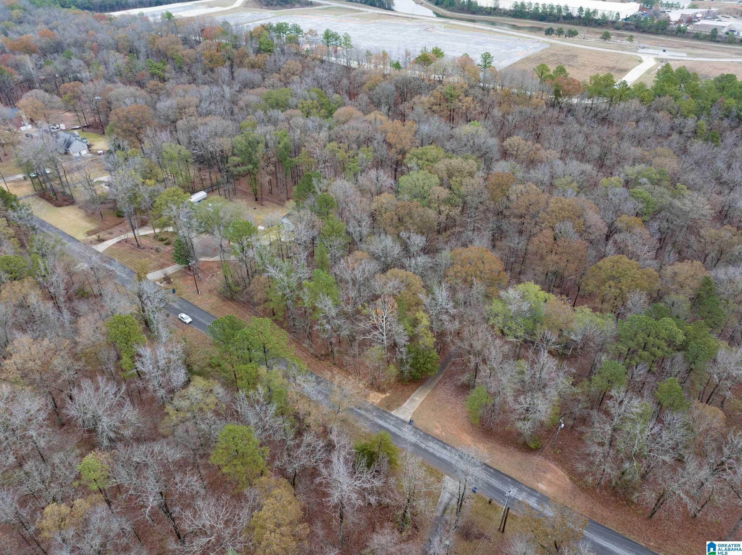 145 Chestnut Drive, Unit 1 Alabaster, AL 35007 - Photo 3 of 6