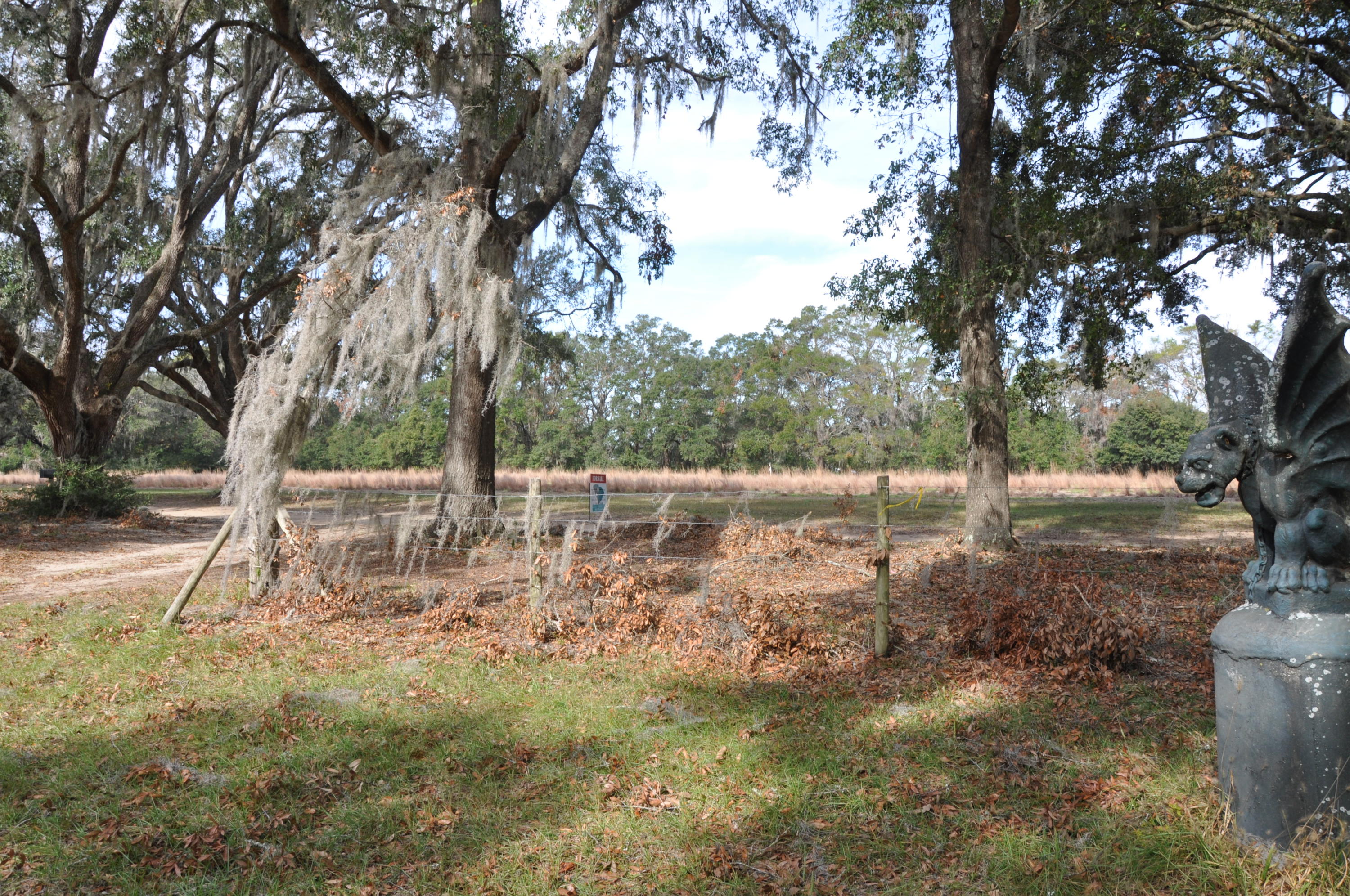 6217 Rockefeller Road Wadmalaw Island, SC 29487 - Photo 22 of 22 DSC_0895