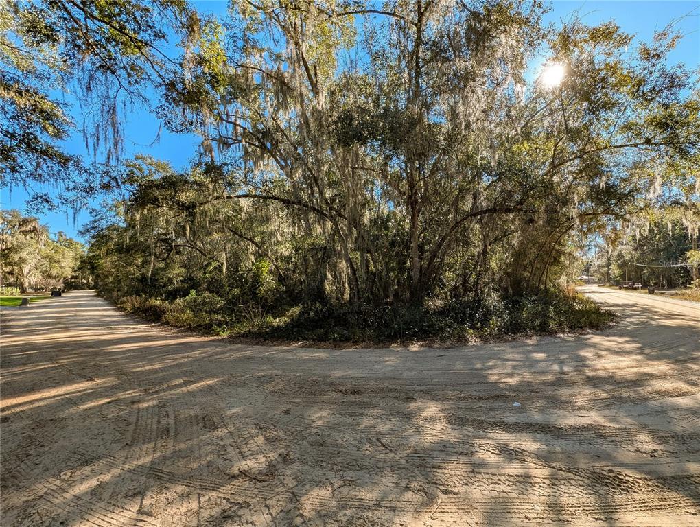 110 Leeward Road Satsuma, FL 32189 - Photo 15 of 18