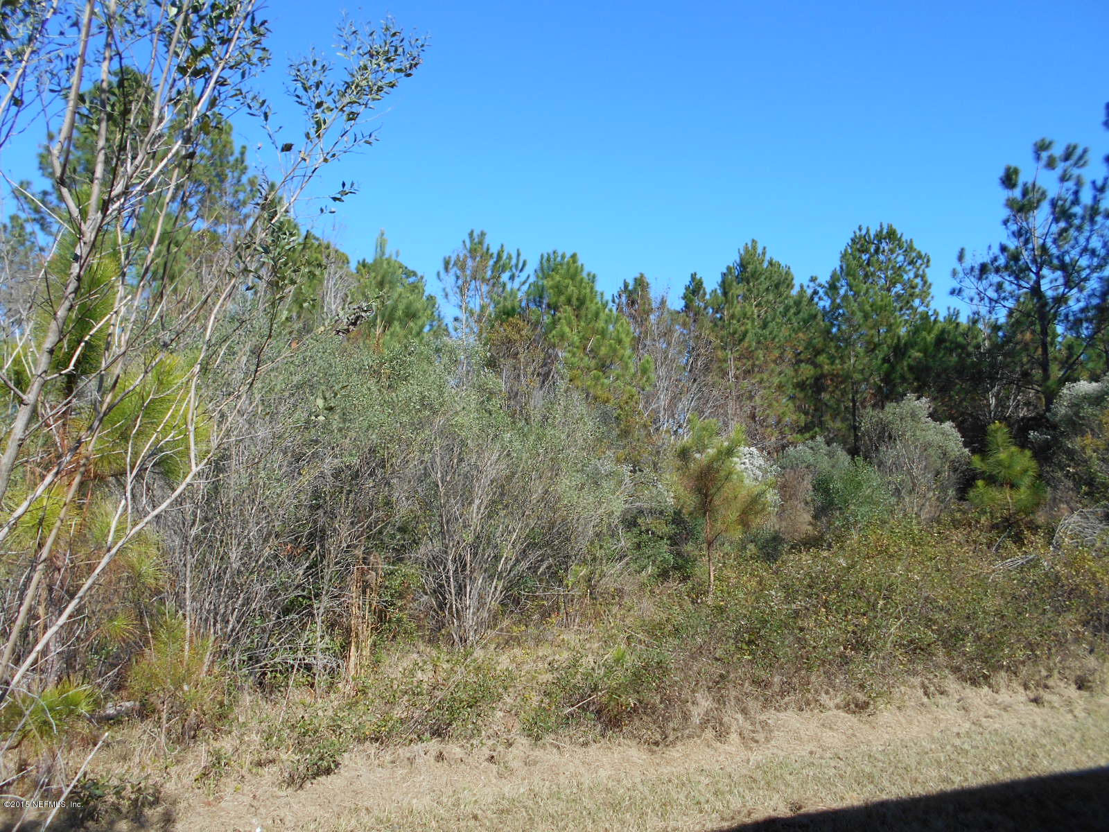 14747 Hid Dugger Road Sanderson, FL 32087 - Photo 11 of 12 Back Yard