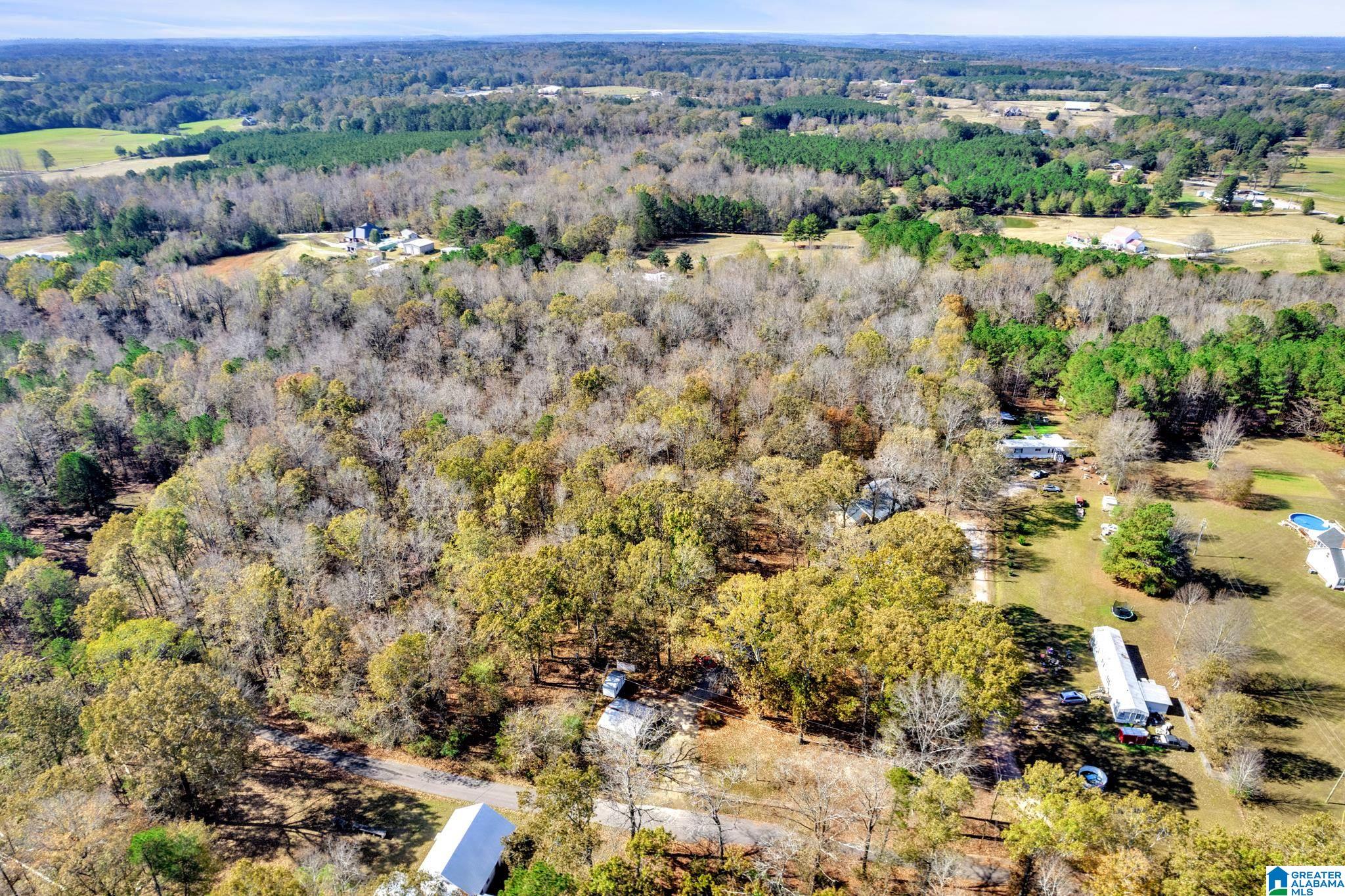 9300 Miller Road Warrior, AL 35180 - Photo 29 of 36