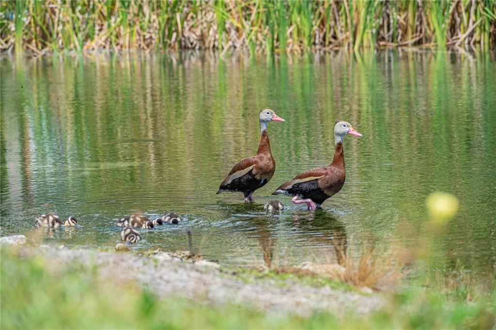 25 Pine Arbor Lane, Unit 104 Vero Beach, FL 32962 - Photo 25 of 34