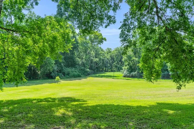 a view of yard with a big yard and entertaining space