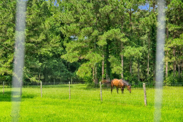 a view of an outdoor space and a lake view