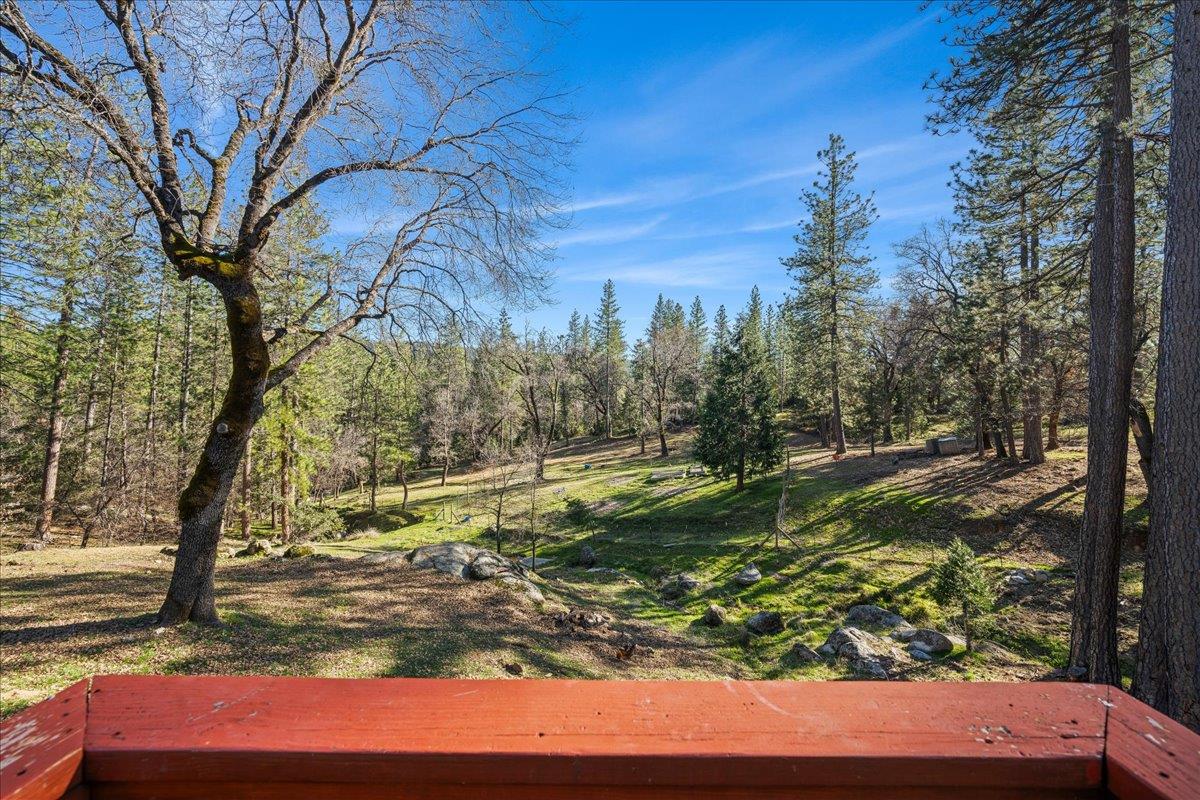 5351 Cosumnes Mine Road Somerset, CA 95684 - Photo 47 of 66 a view of yard with tree in the background
