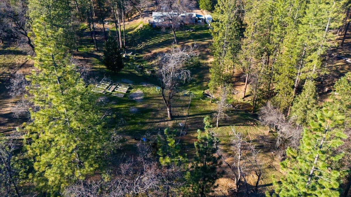5351 Cosumnes Mine Road Somerset, CA 95684 - Photo 57 of 66 a backyard of a house with lots of green space