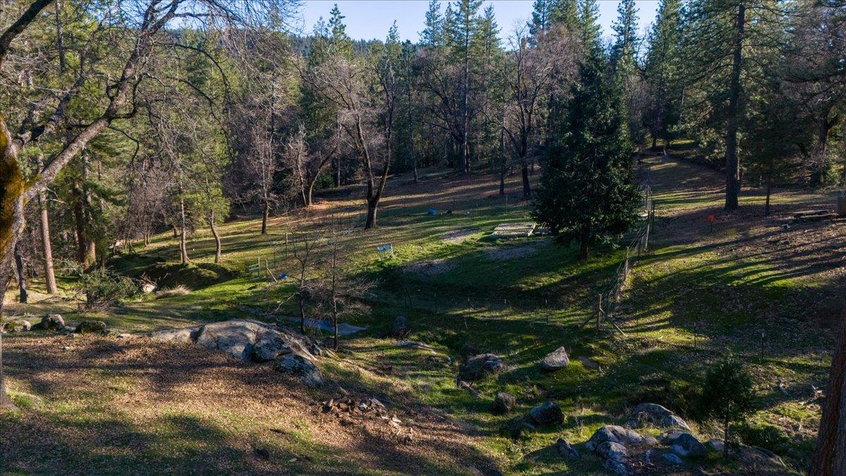5351 Cosumnes Mine Road Somerset, CA 95684 - Photo 58 of 66 a view of a park with large trees