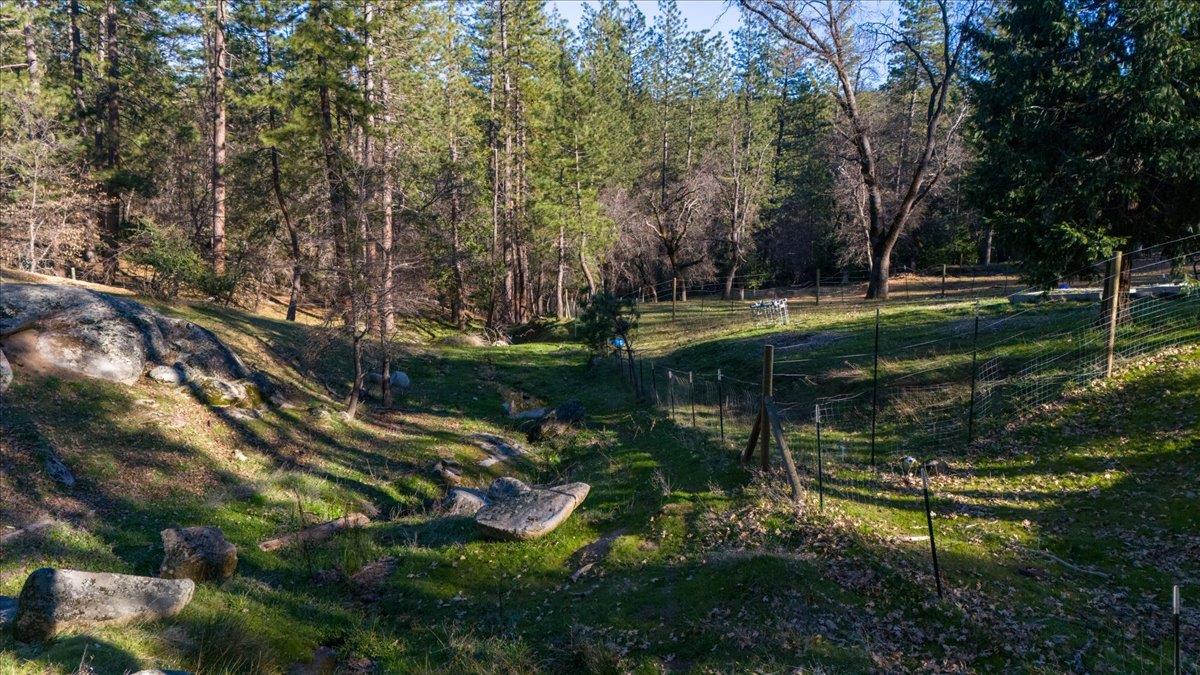 5351 Cosumnes Mine Road Somerset, CA 95684 - Photo 60 of 66 a view of a lake with large trees