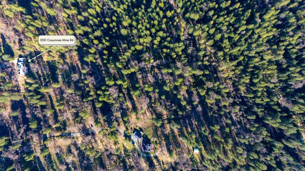 5351 Cosumnes Mine Road Somerset, CA 95684 - Photo 63 of 66 a close up of a tree