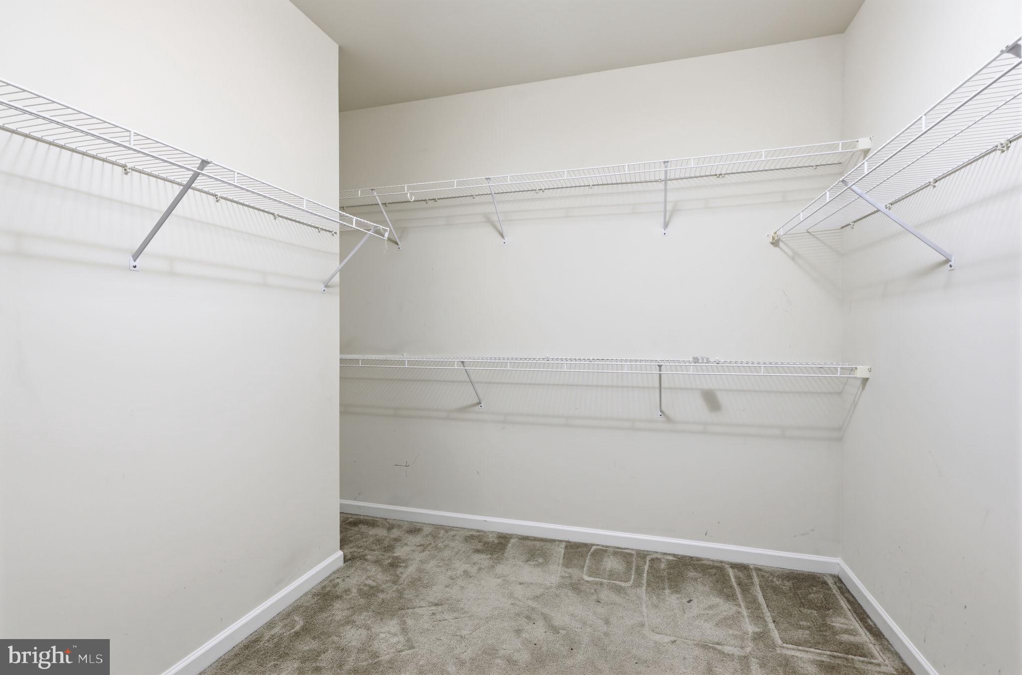 556 Carson Terrace Huntingdon Valley, PA 19006 - Photo 18 of 42 a view of walk in closet with empty racks