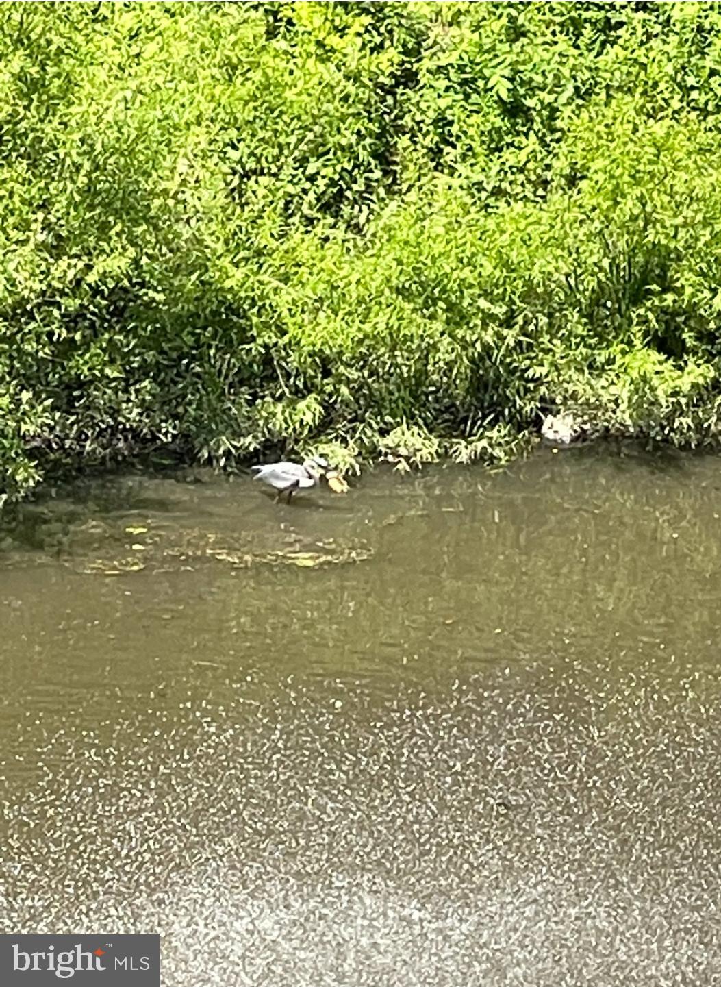 556 Carson Terrace Huntingdon Valley, PA 19006 - Photo 39 of 42 a view of an ocean view