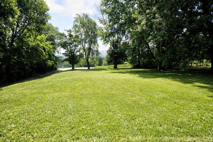 670 Rockfish Road Waynesboro, VA 22980 - Photo 58 of 58 a view of a trees in a yard