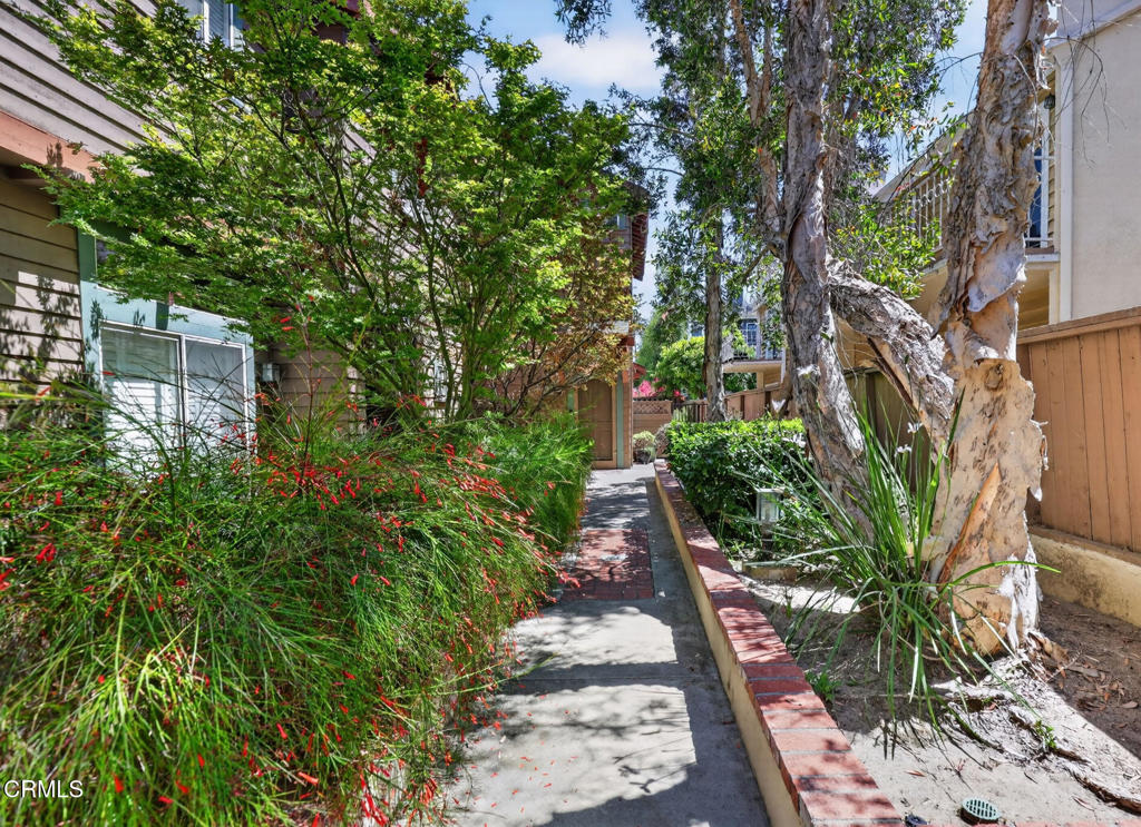 306 Alpine Street, Unit 5 Pasadena, CA 91106 - Photo 34 of 36 4-web-or-mls-306 Alpine St_MEDIA360VR-4