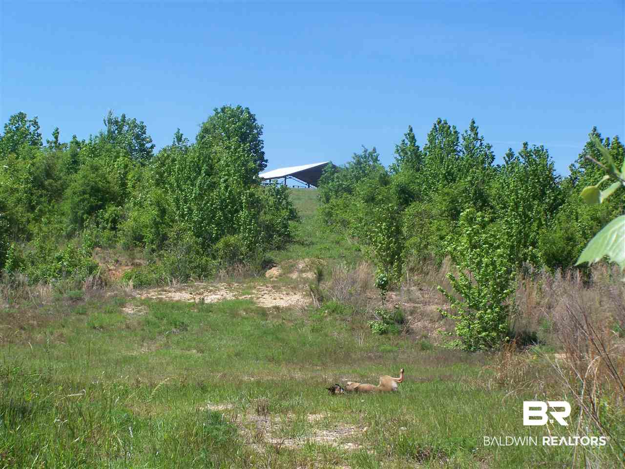 3000 Antioch Road Grove Hill, AL 36451 - Photo 24 of 42