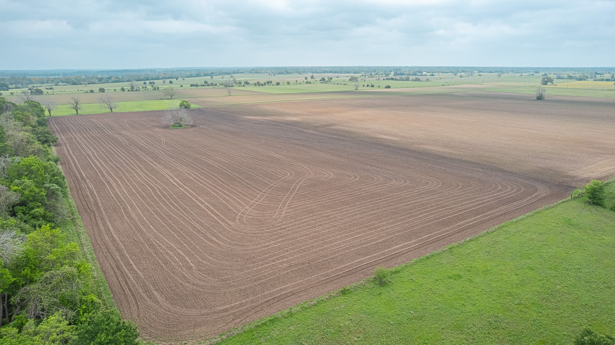 130.5-acres 130.5-acres Edgewood Columbus, TX 78934 - Photo 11 of 16