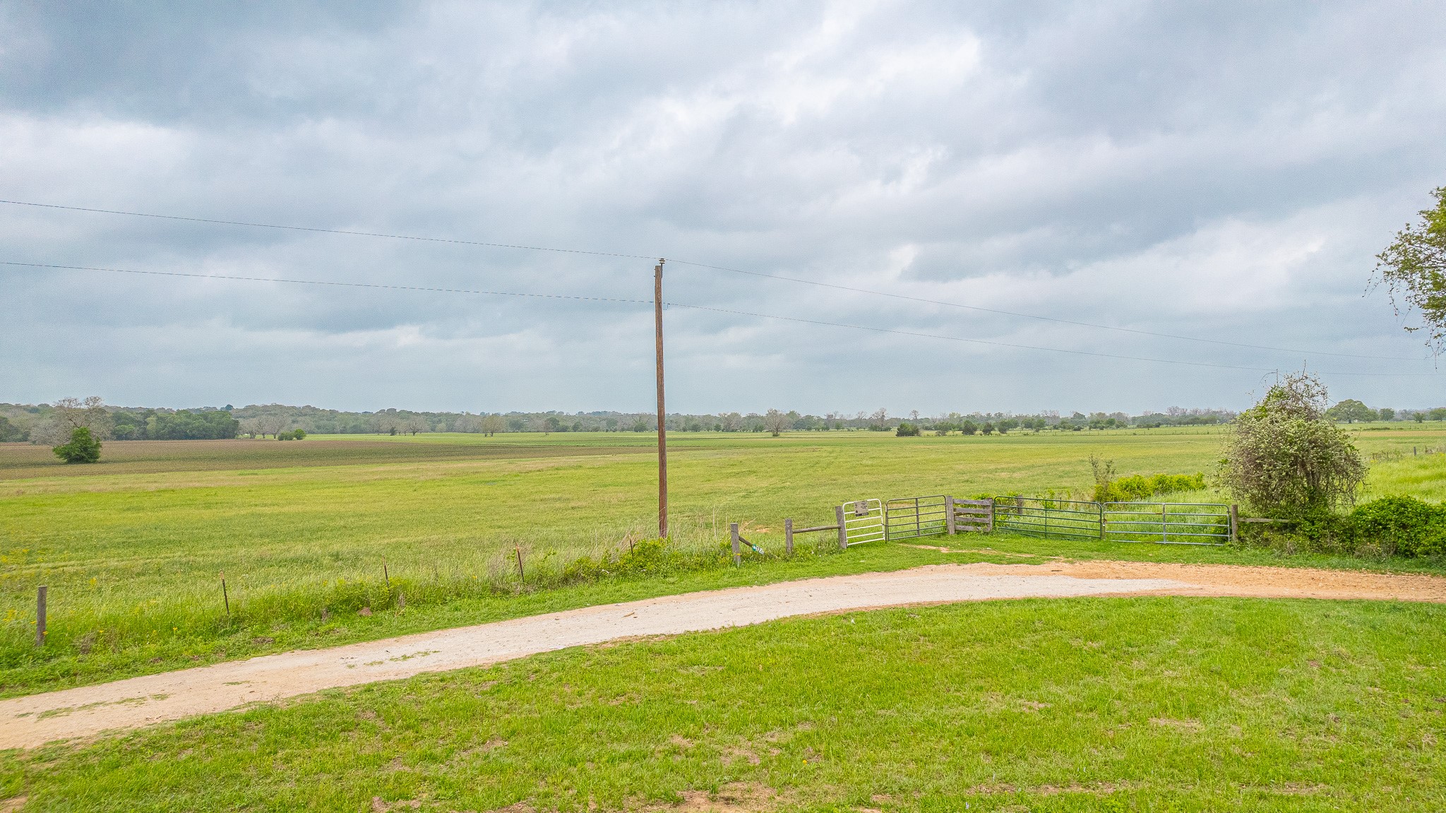 130.5-acres 130.5-acres Edgewood Columbus, TX 78934 - Photo 14 of 16