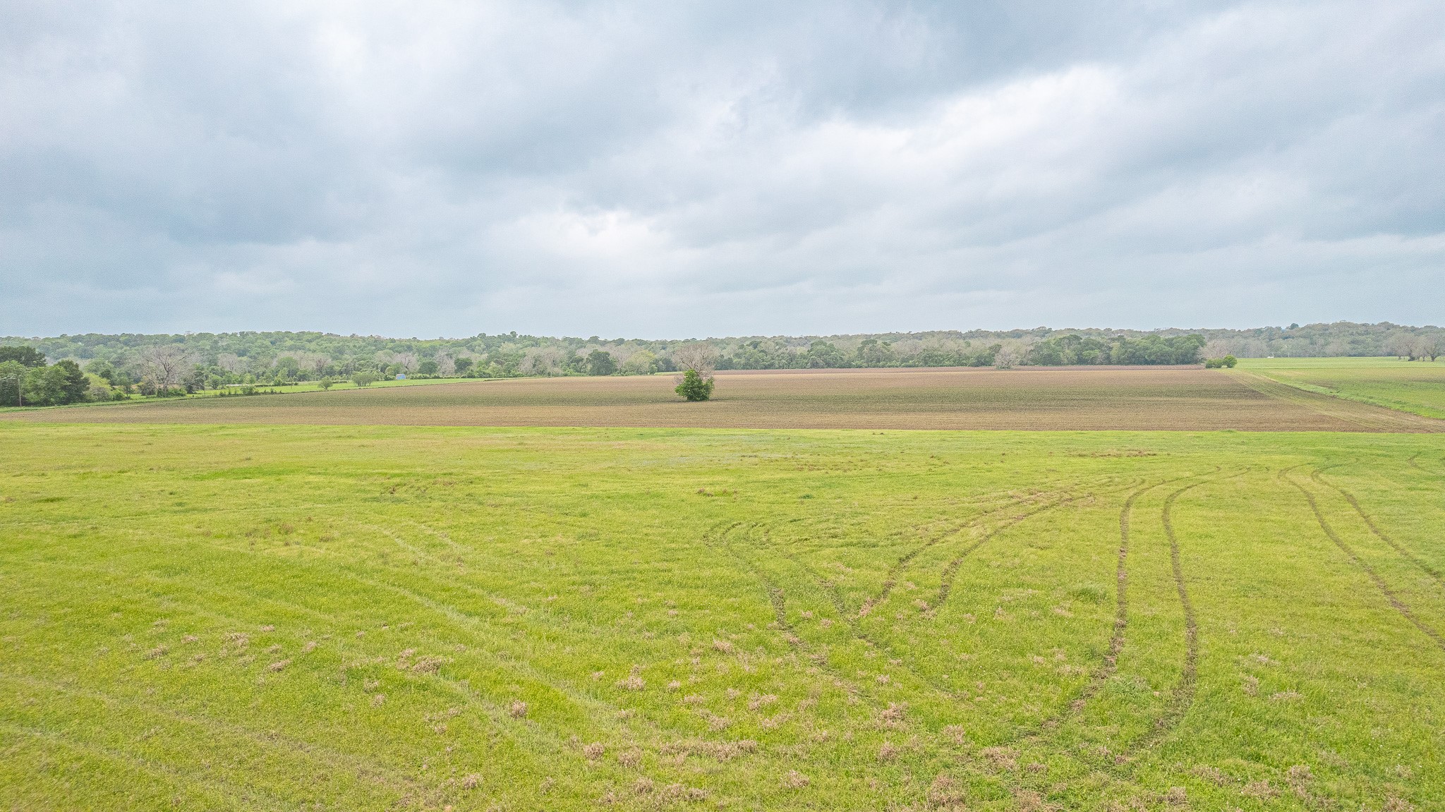 130.5-acres 130.5-acres Edgewood Columbus, TX 78934 - Photo 15 of 16