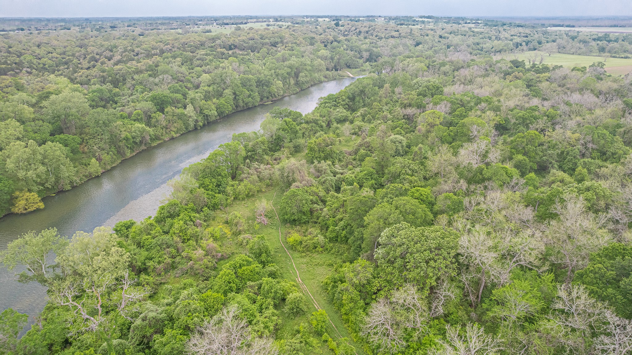 130.5-acres 130.5-acres Edgewood Columbus, TX 78934 - Photo 2 of 16
