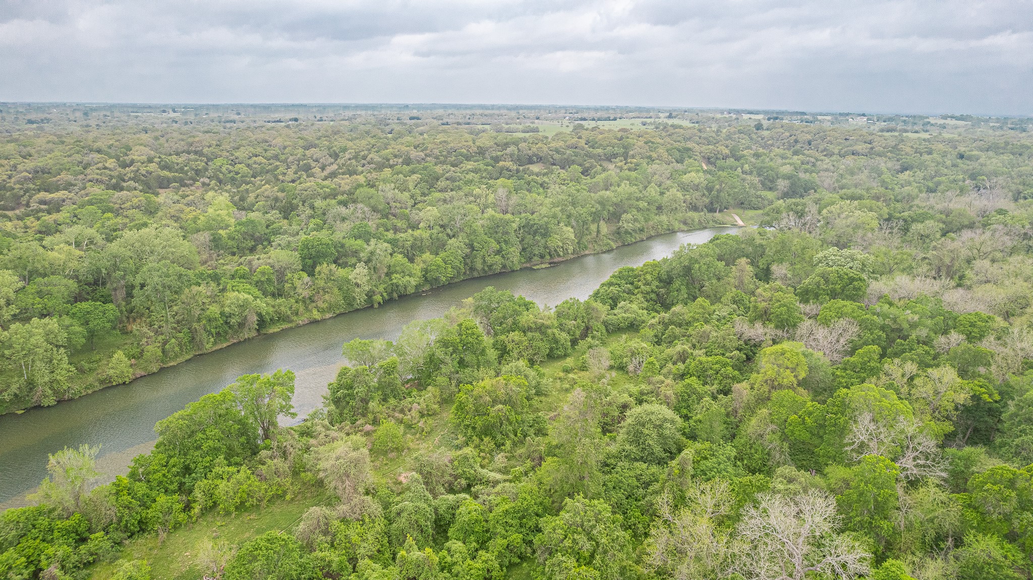 130.5-acres 130.5-acres Edgewood Columbus, TX 78934 - Photo 3 of 16