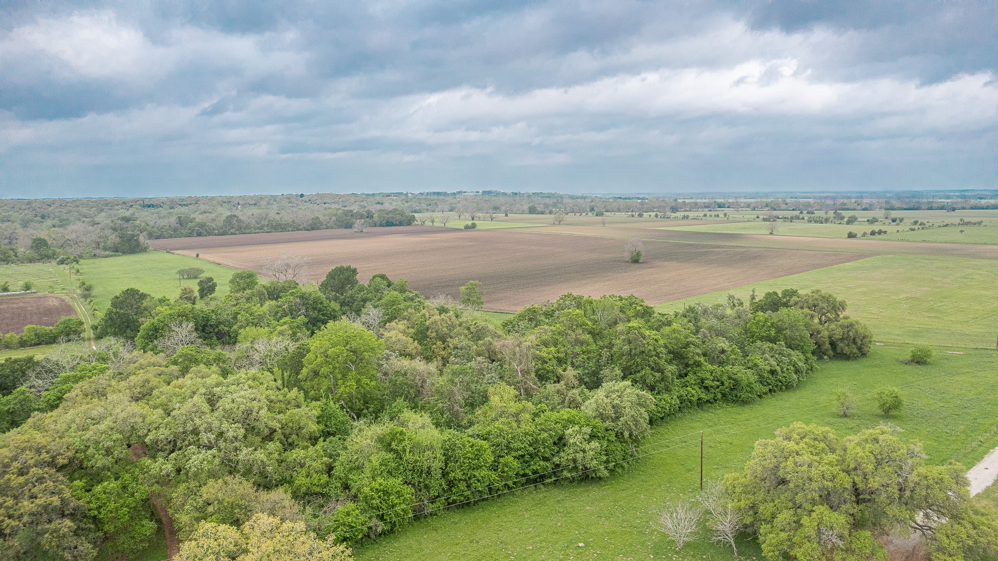 130.5-acres 130.5-acres Edgewood Columbus, TX 78934 - Photo 4 of 16