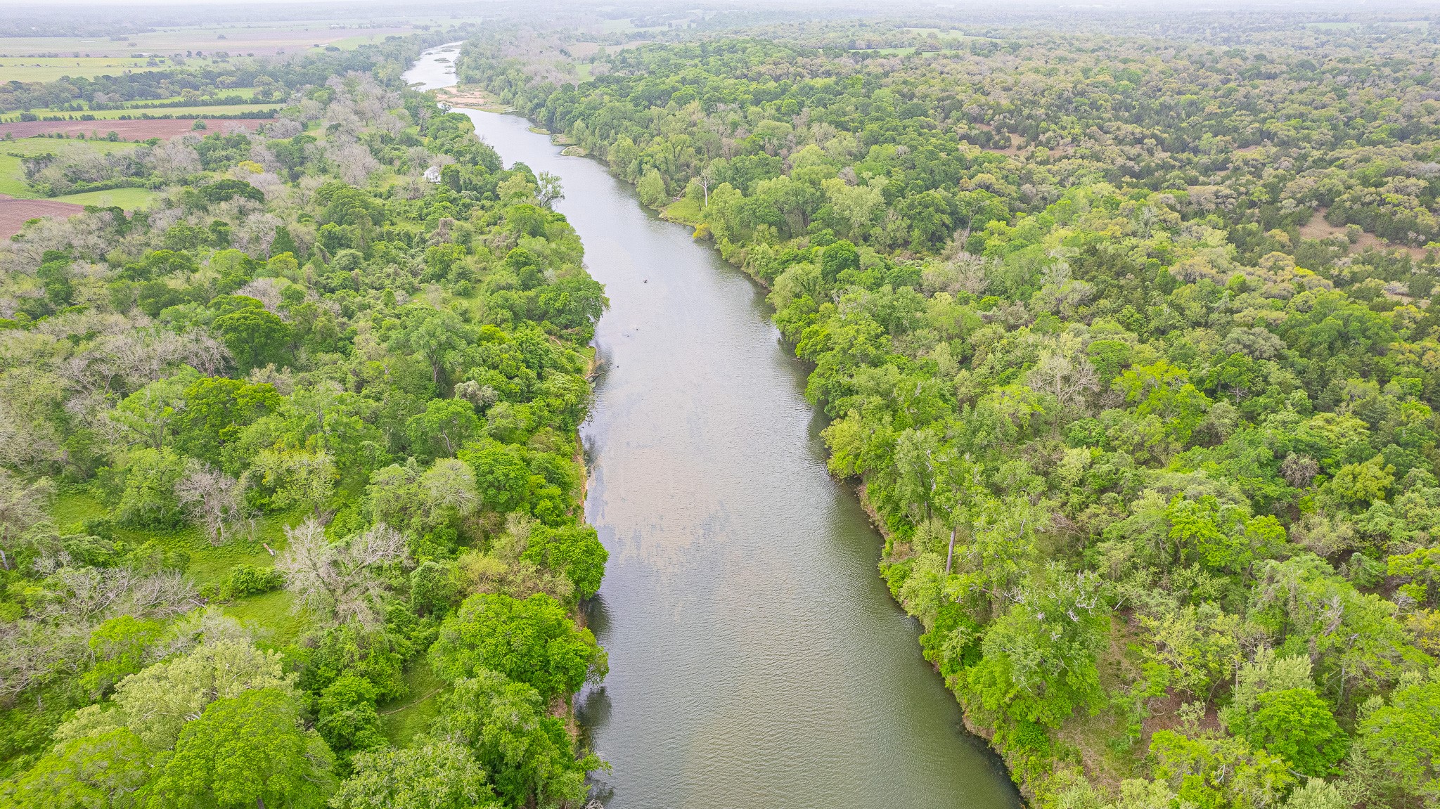 130.5-acres 130.5-acres Edgewood Columbus, TX 78934 - Photo 5 of 16
