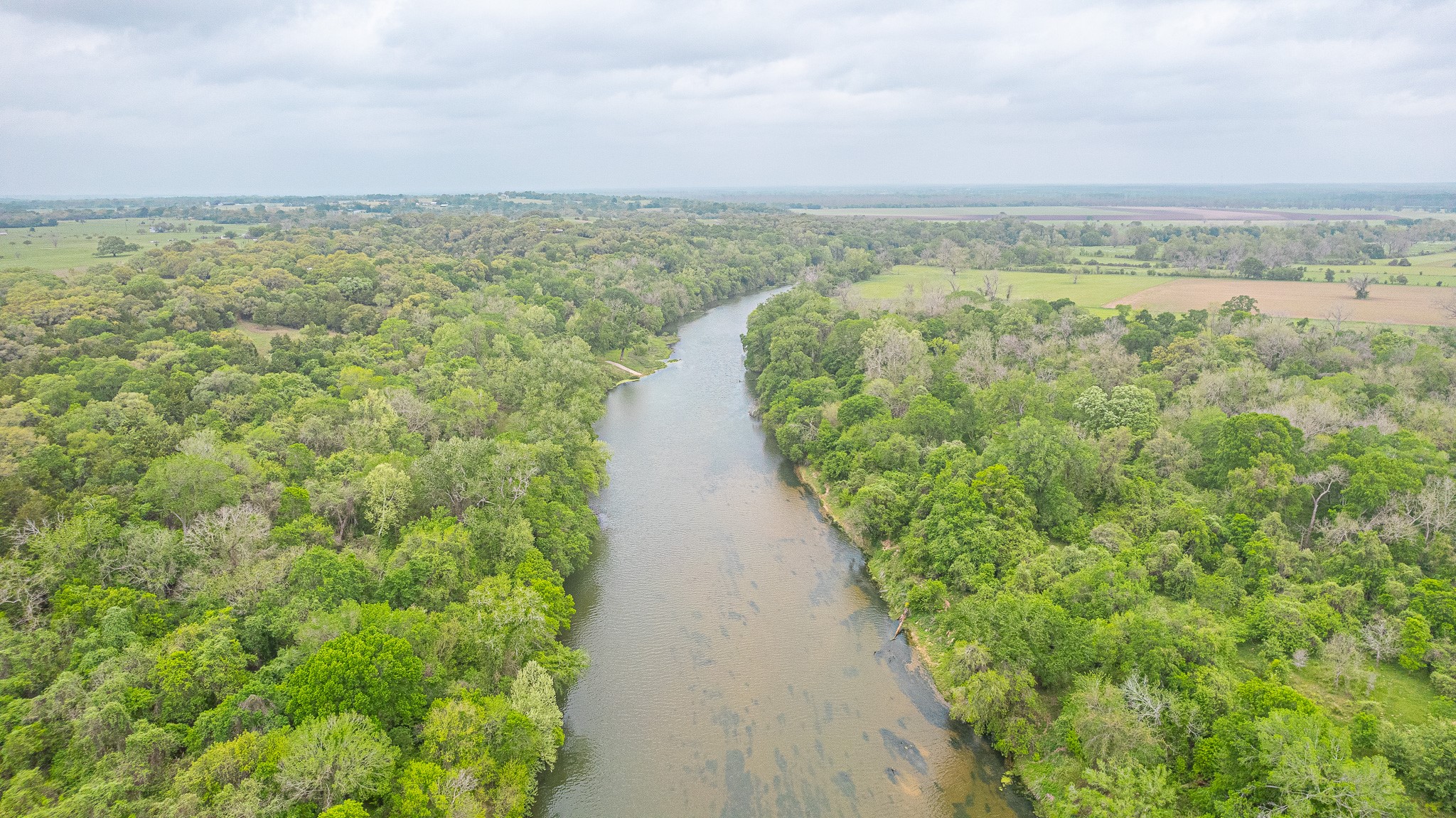 130.5-acres 130.5-acres Edgewood Columbus, TX 78934 - Photo 6 of 16