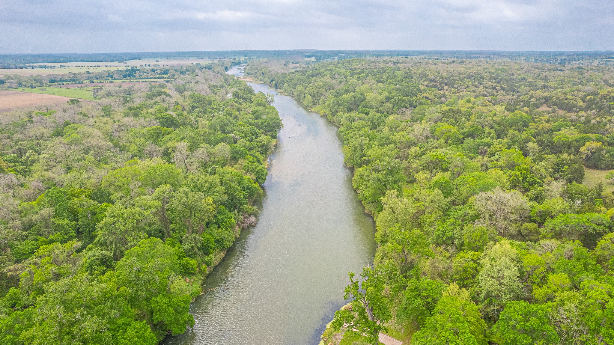 130.5-acres 130.5-acres Edgewood Columbus, TX 78934 - Photo 7 of 16