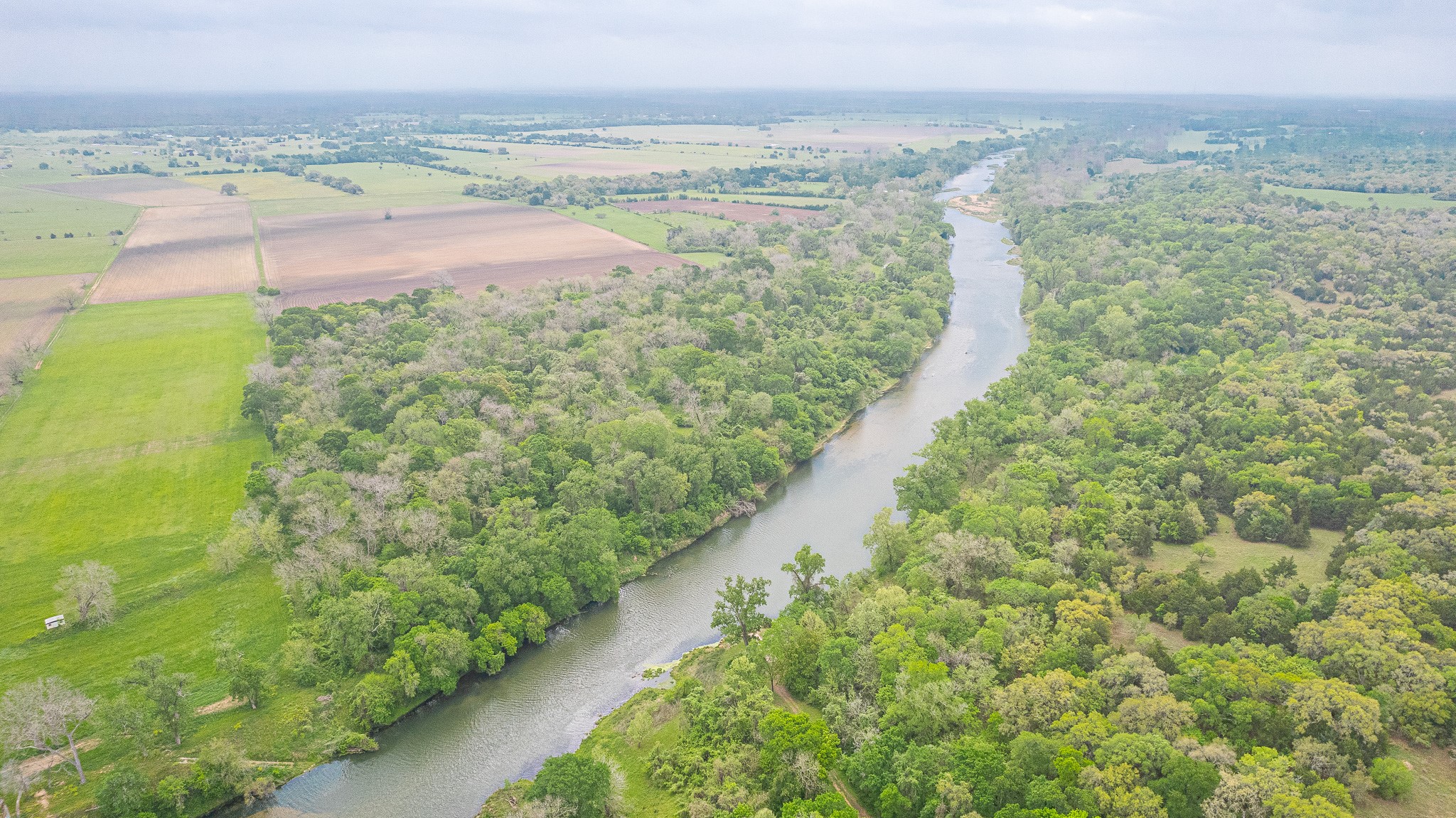 130.5-acres 130.5-acres Edgewood Columbus, TX 78934 - Photo 8 of 16