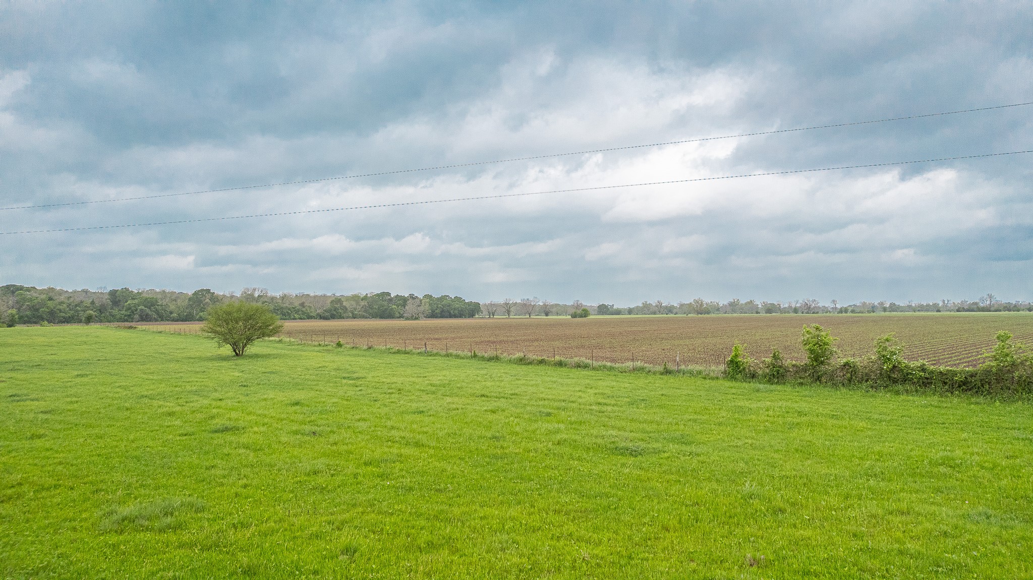130.5-acres 130.5-acres Edgewood Columbus, TX 78934 - Photo 9 of 16