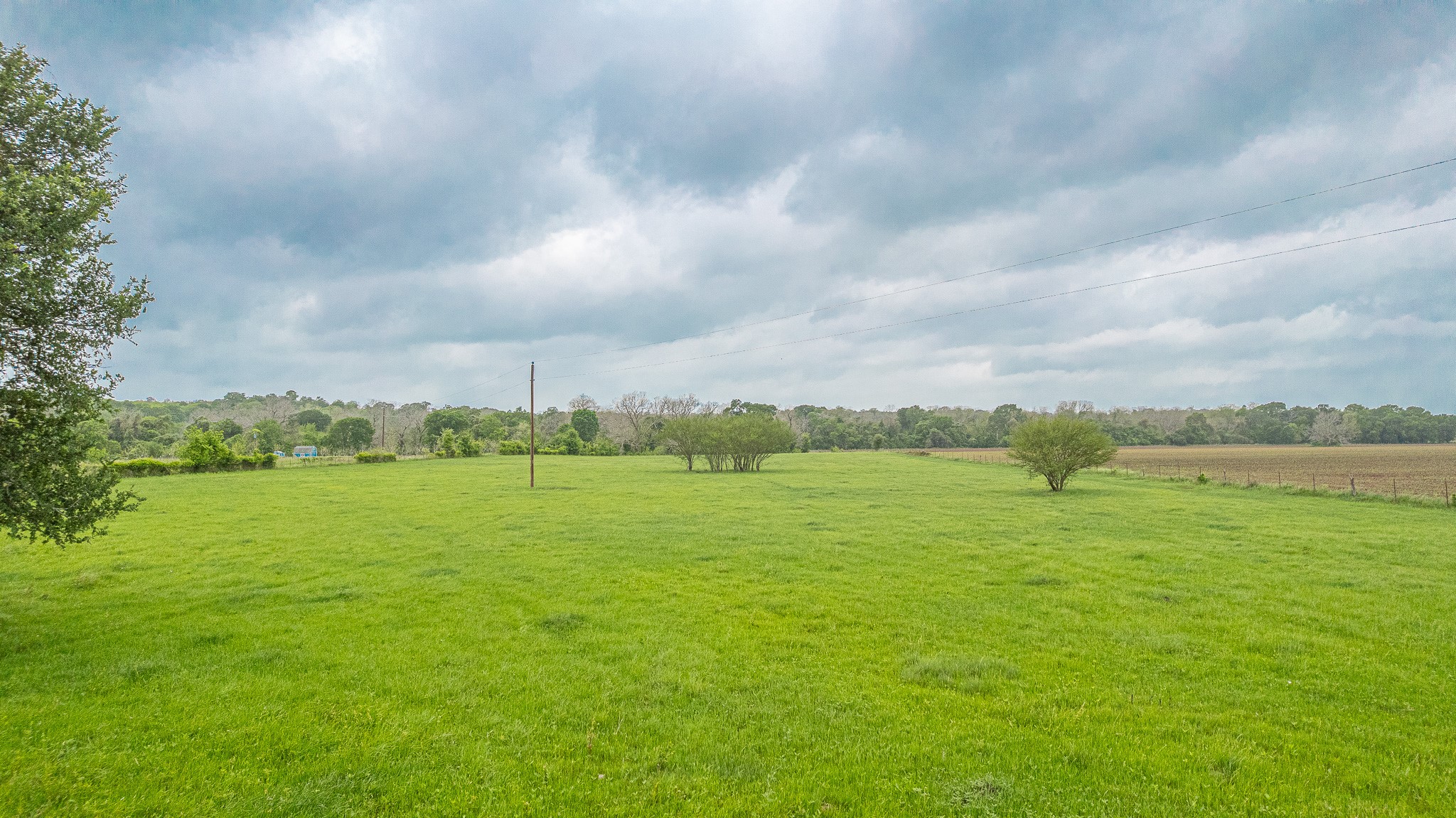 130.5-acres 130.5-acres Edgewood Columbus, TX 78934 - Photo 10 of 16