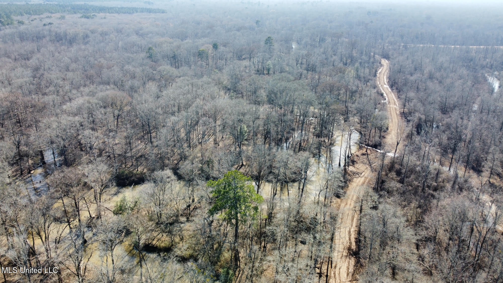 2 Evans Road Carthage, MS 39051 - Photo 28 of 51 105