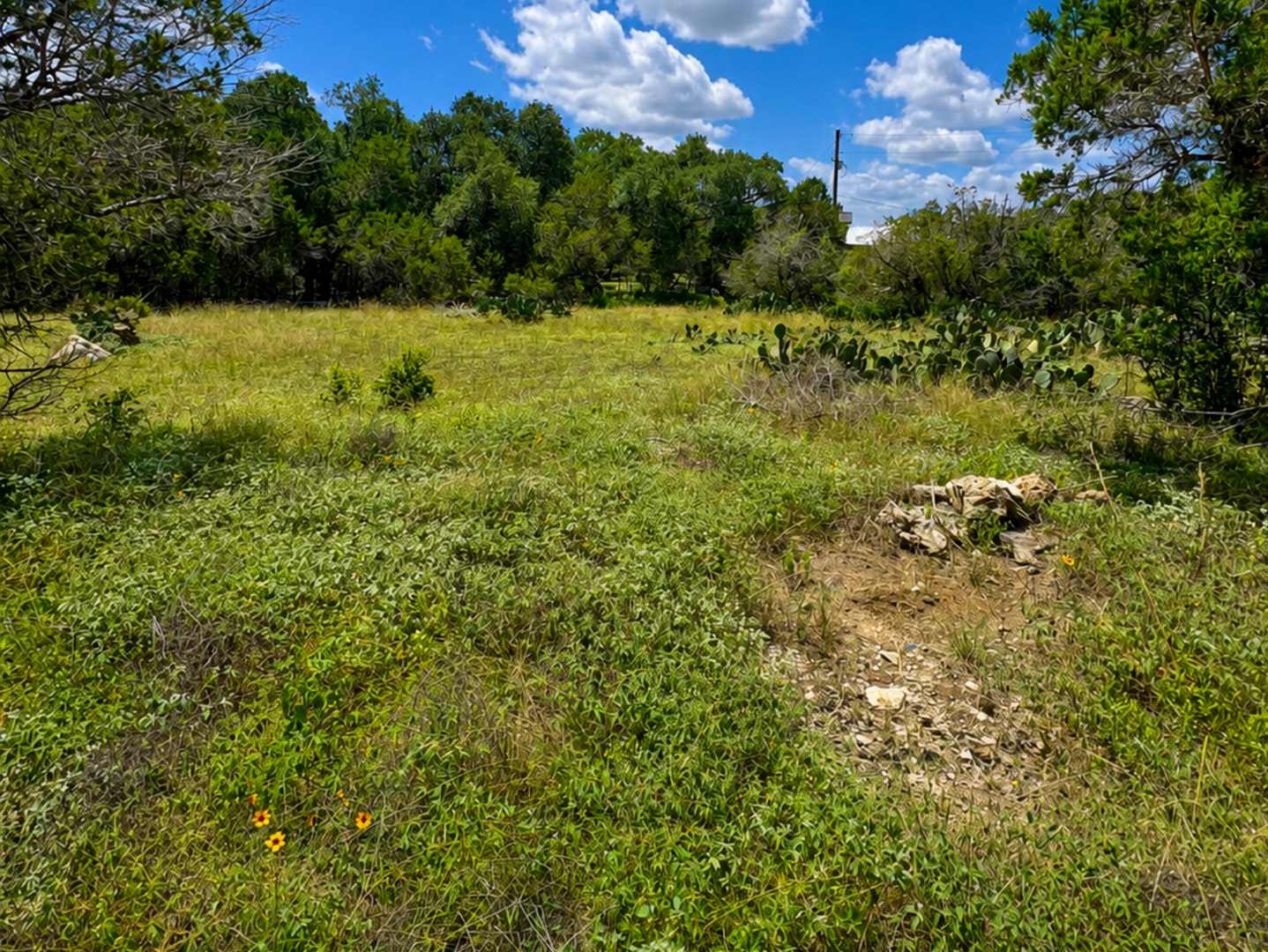 6718 Spring Branch Road Spring Branch, TX 78070 - Photo 6 of 6