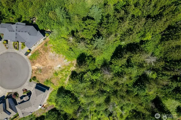 an aerial view of a house with swimming pool outdoor seating and covered with trees