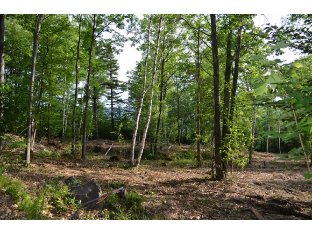 0 Mt Hunger Road Henniker, NH 03242 - Photo 1 of 5