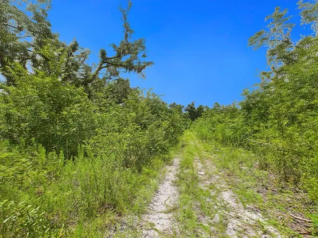 $75,000 | 0 Shady Oaks Lane, Perry, FL 32348