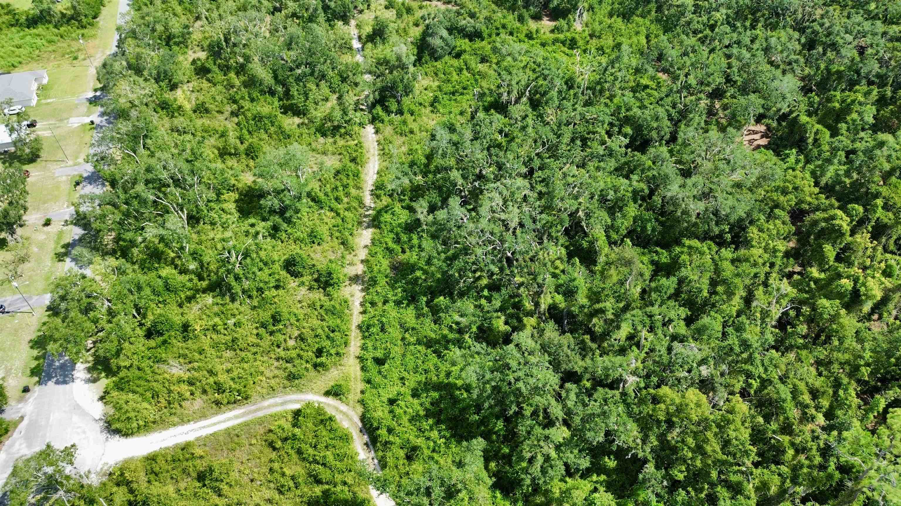 0 Shady Oaks Lane Perry, FL 32348 - Photo 11 of 27