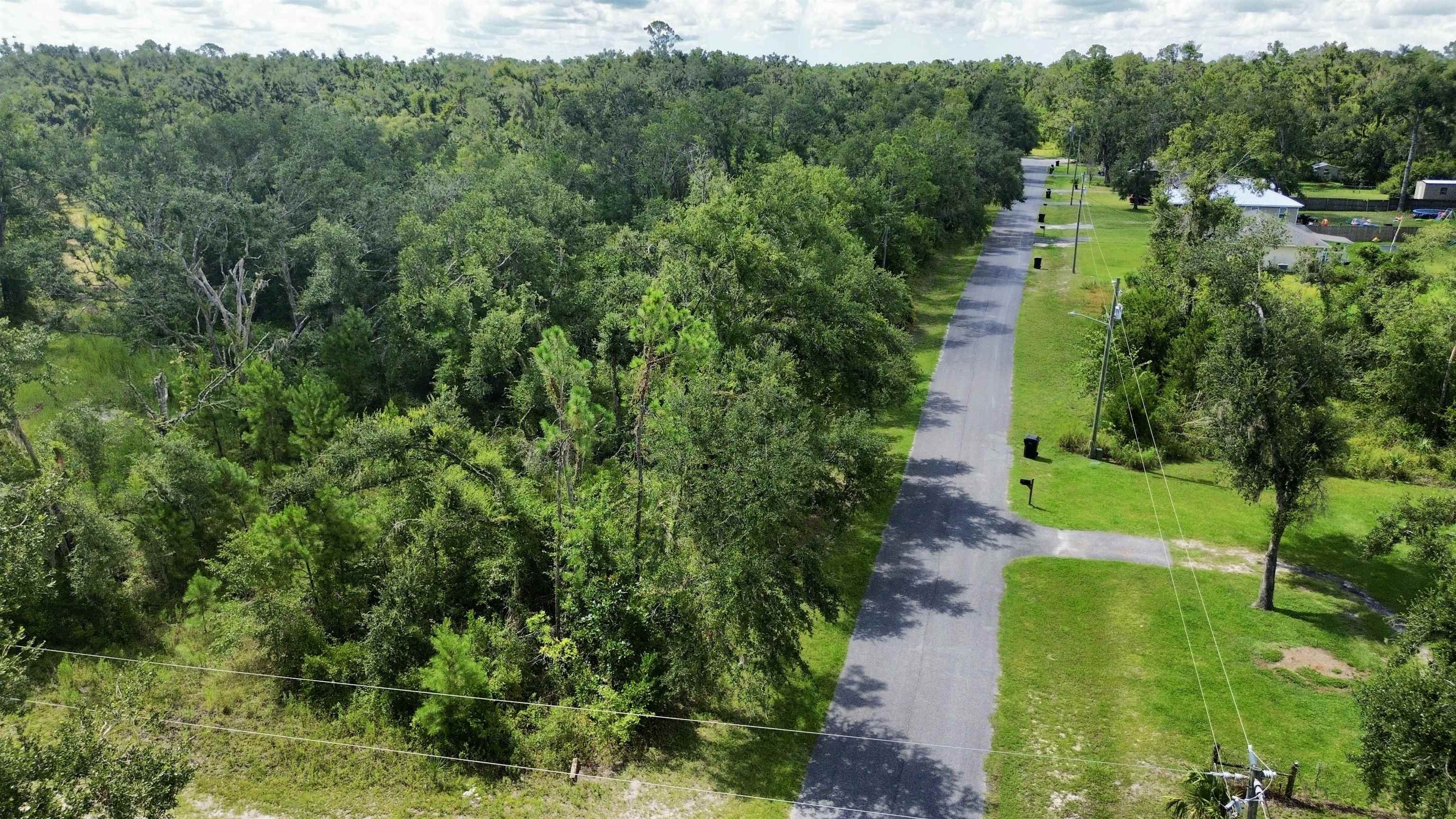 0 Shady Oaks Lane Perry, FL 32348 - Photo 16 of 27