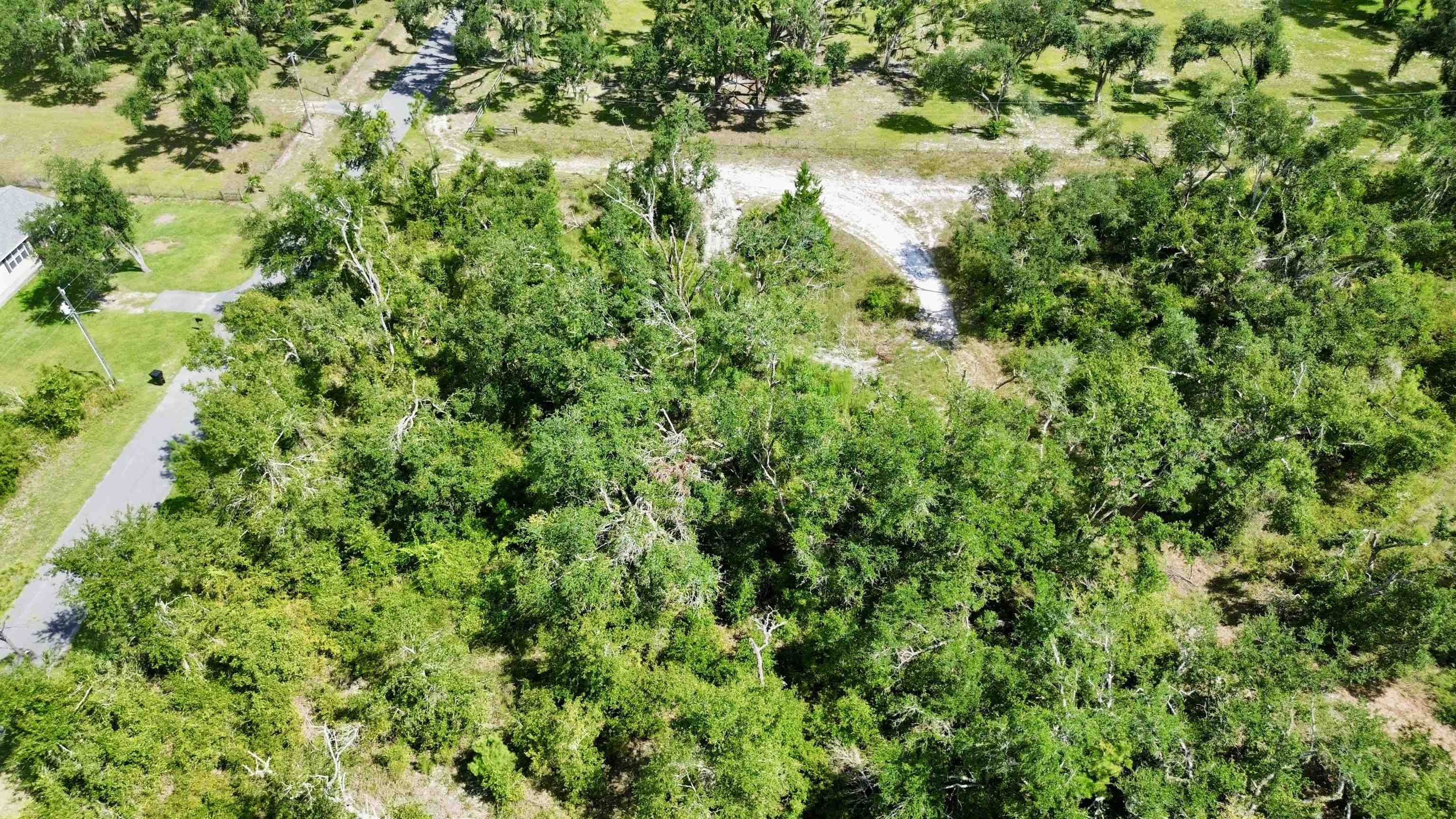 0 Shady Oaks Lane Perry, FL 32348 - Photo 17 of 27