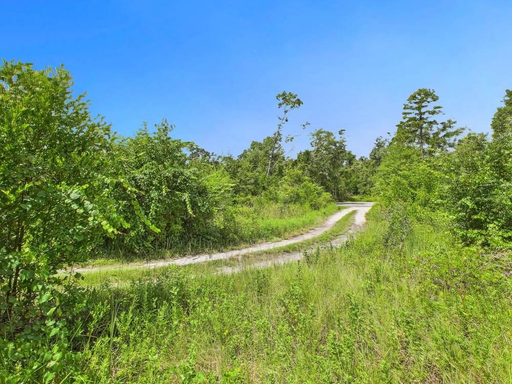 0 Shady Oaks Lane Perry, FL 32348 - Photo 2 of 27