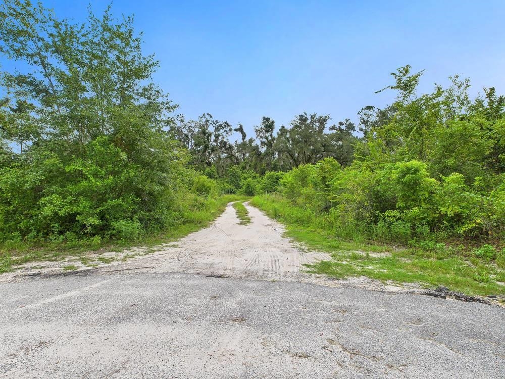 0 Shady Oaks Lane Perry, FL 32348 - Photo 24 of 27