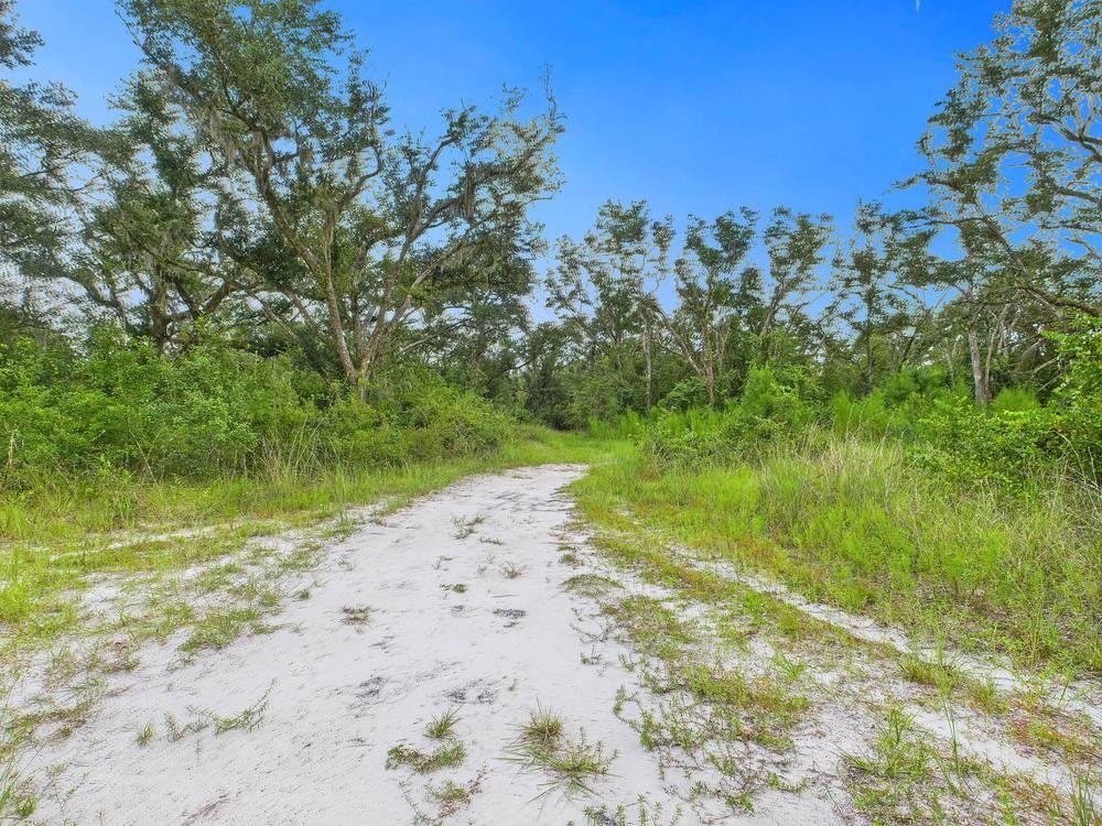 0 Shady Oaks Lane Perry, FL 32348 - Photo 26 of 27