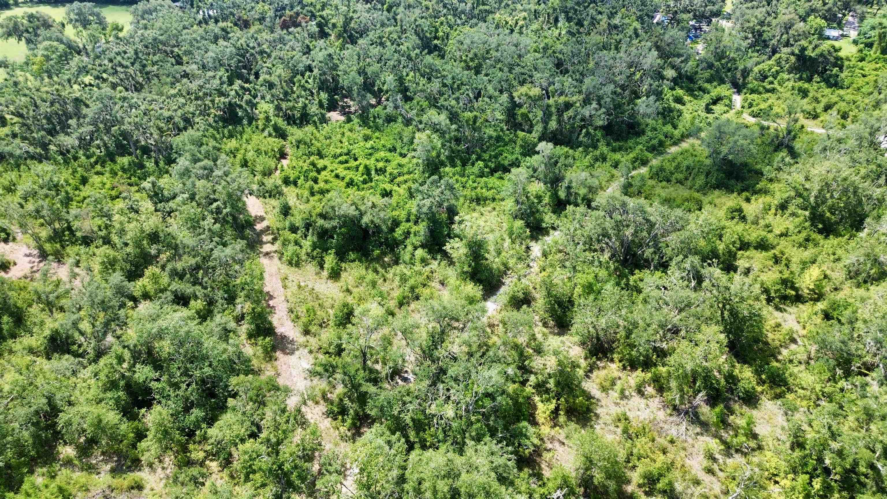 0 Shady Oaks Lane Perry, FL 32348 - Photo 5 of 27